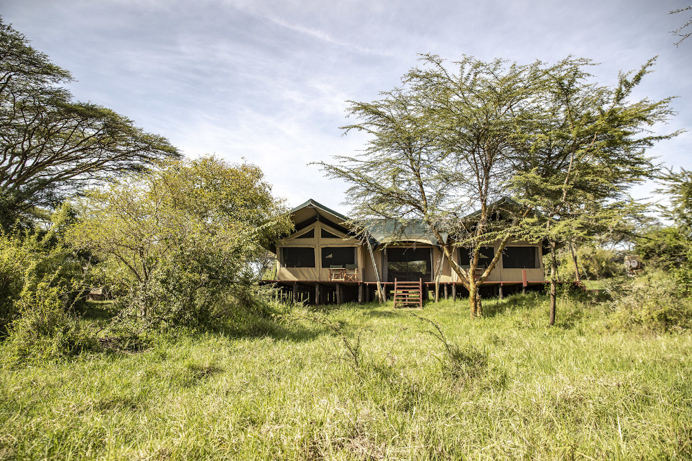Porini Mara Camp thumbnail 2