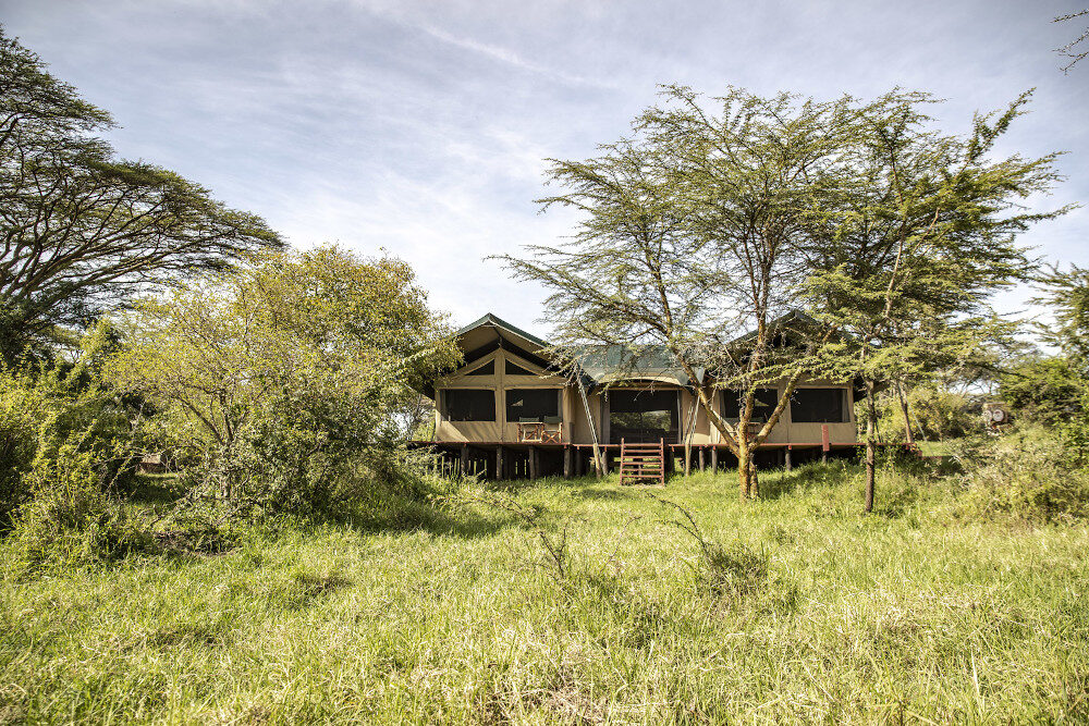 Porini Mara Camp thumbnail 2