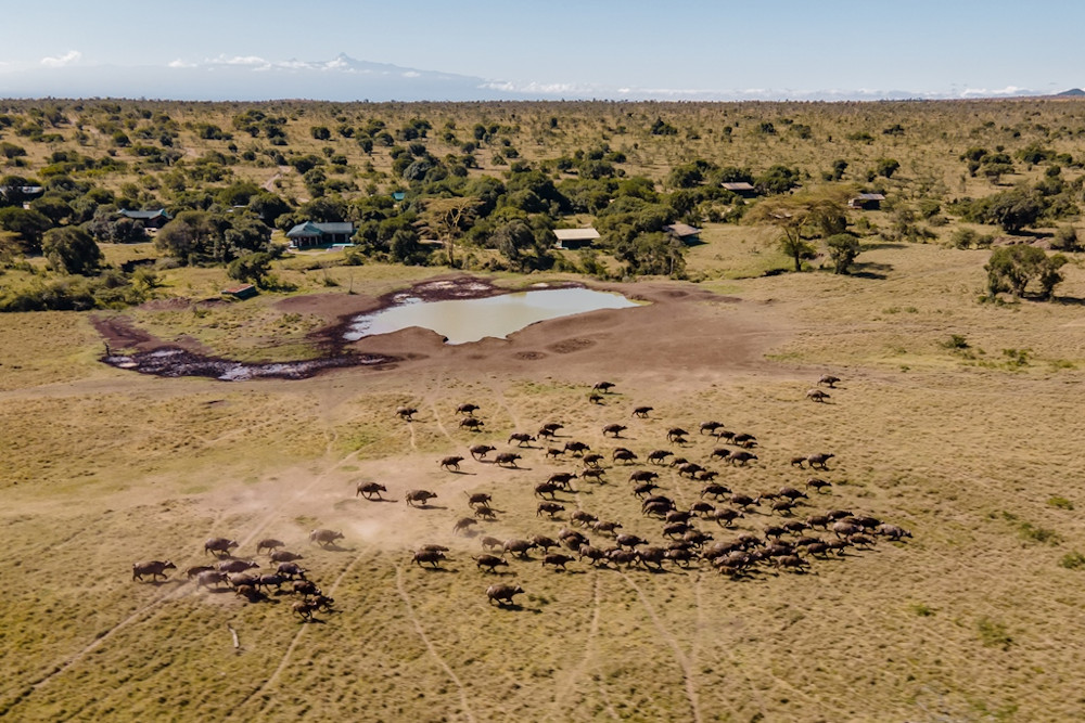 Porini Rhino Camp thumbnail 2