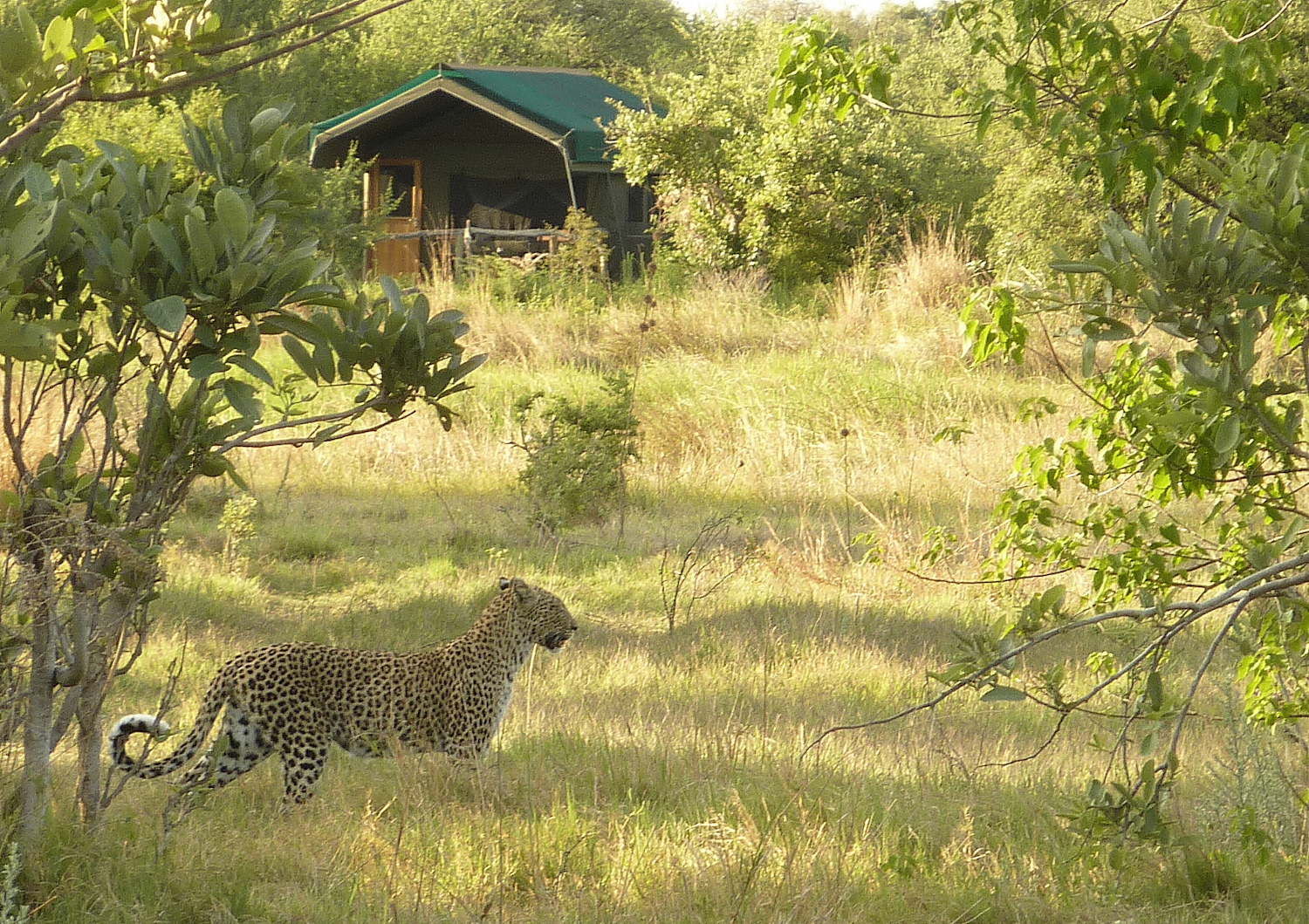 Sango Safari Camp thumbnail 2