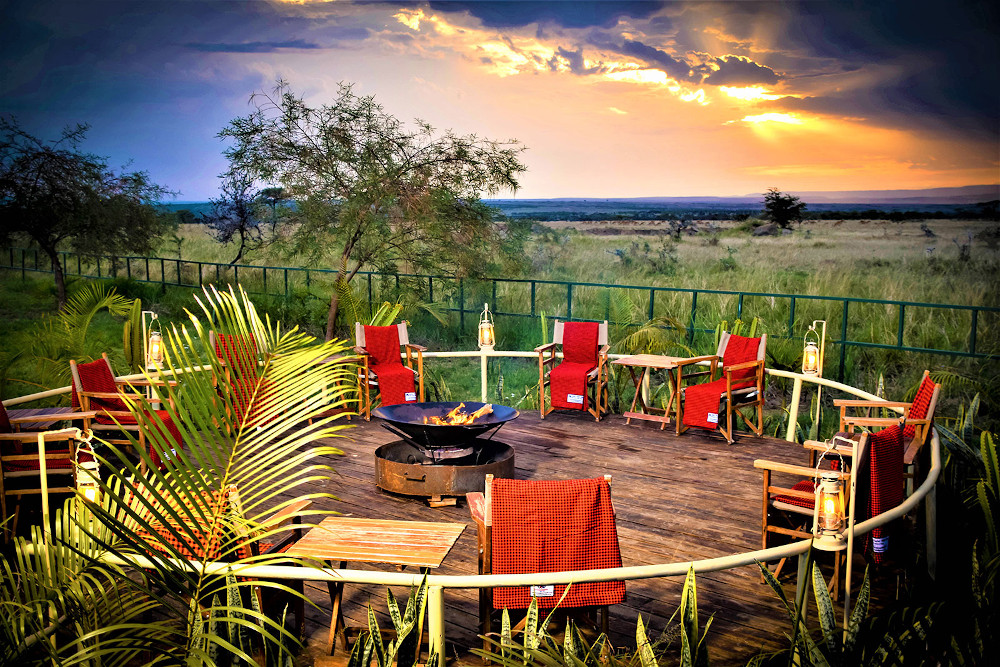 Zebra Plains Mara thumbnail 2