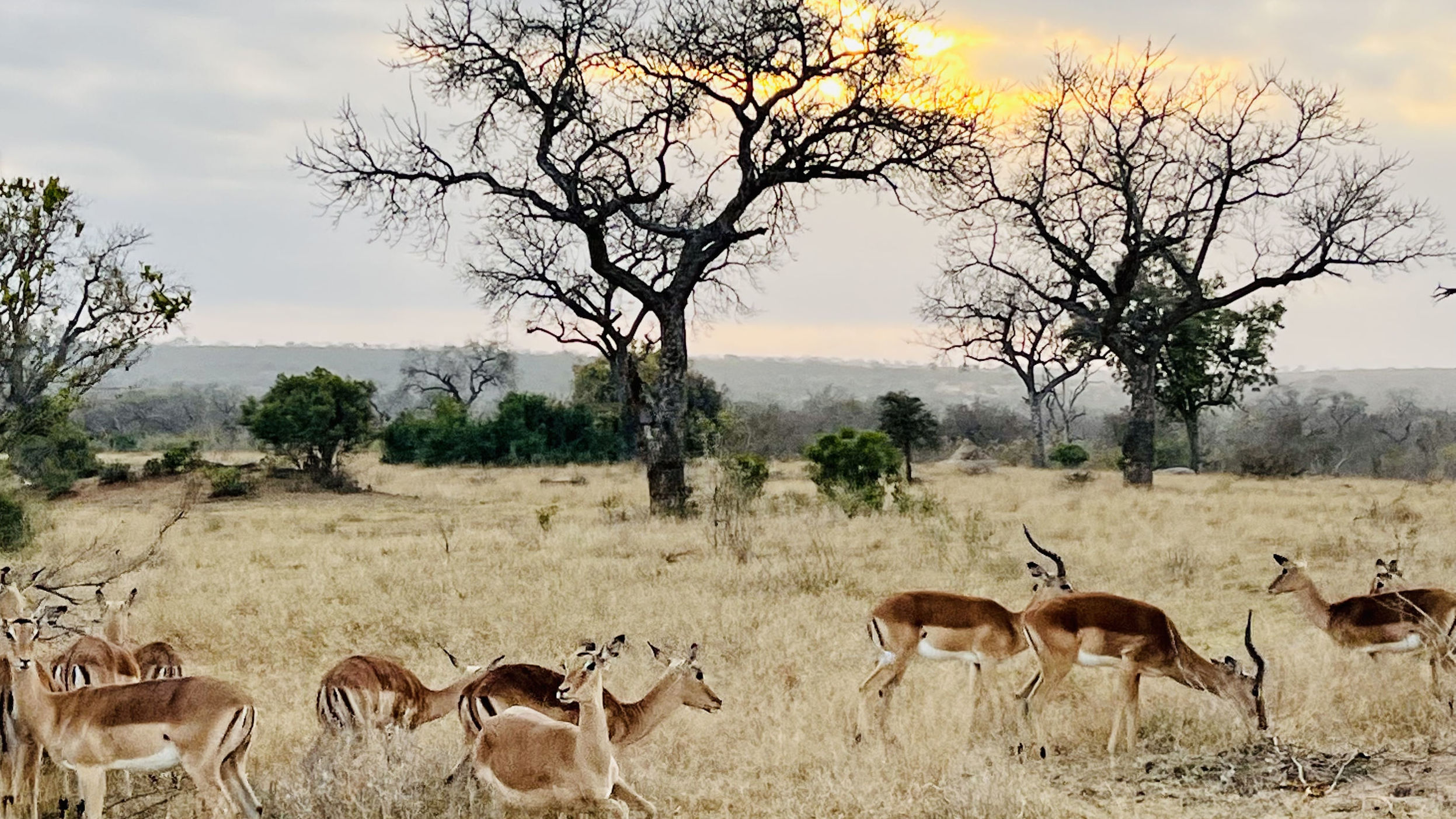 Deep Kalahari, The Thirsty Land
